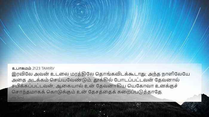 உபாகமம் 21:23 TAMIRV Bible Verse Image