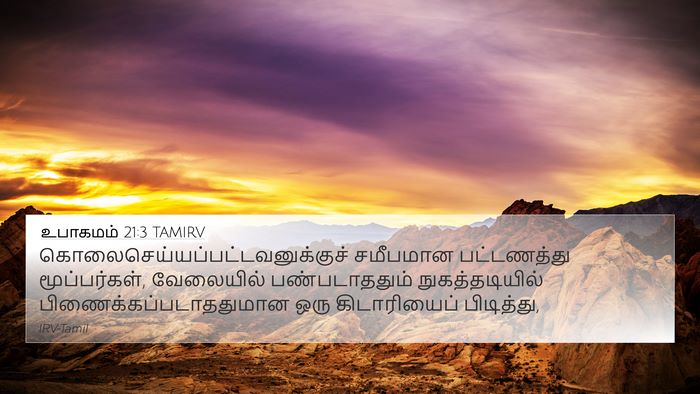 உபாகமம் 21:3 TAMIRV 4K Wallpaper -  - 4K Wallpaper Bible Verse