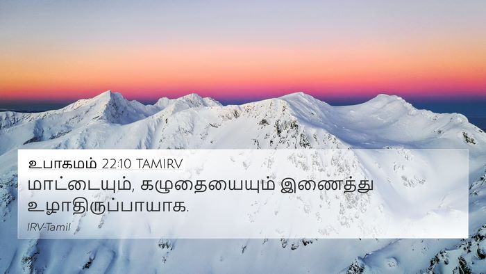 உபாகமம் 22:10 TAMIRV 4K Wallpaper - மாட்டையும், - 4K Wallpaper Bible Verse