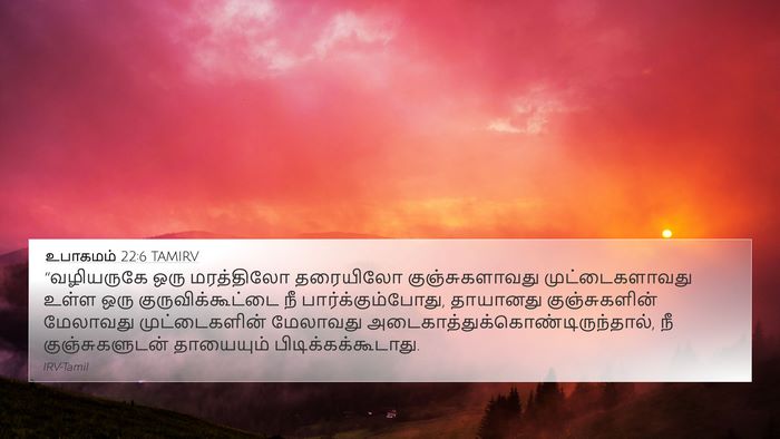 உபாகமம் 22:6 TAMIRV 4K Wallpaper - “வழியருகே ஒரு - 4K Wallpaper Bible Verse
