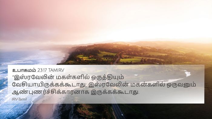 உபாகமம் 23:17 TAMIRV Bible Verse Image