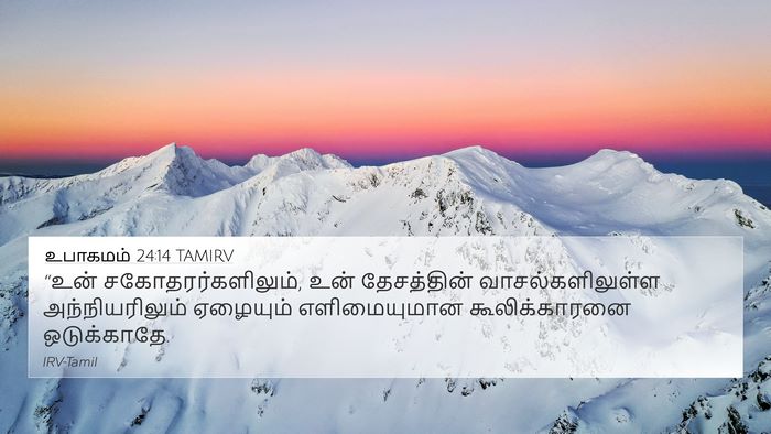 உபாகமம் 24:14 TAMIRV Bible Verse Image