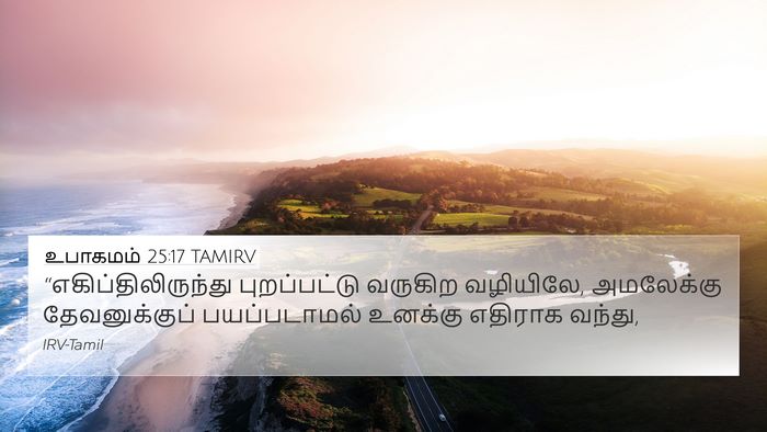 உபாகமம் 25:17 TAMIRV Bible Verse Image