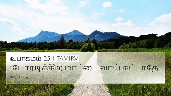 உபாகமம் 25:4 TAMIRV Bible Verse Image