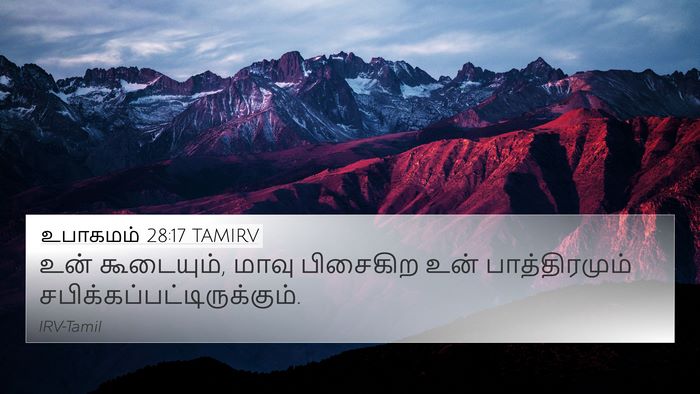 உபாகமம் 28:17 TAMIRV 4K Wallpaper - உன் கூடையும், மாவு - 4K Wallpaper Bible Verse
