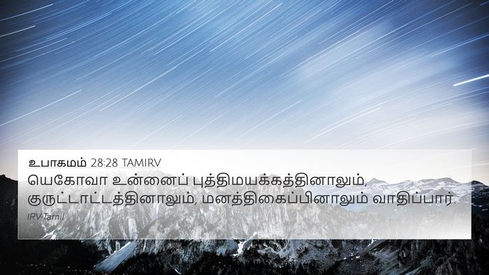 உபாகமம் 28:28 TAMIRV Bible Verse Image