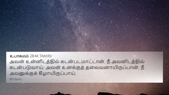 உபாகமம் 28:44 TAMIRV Bible Verse Image