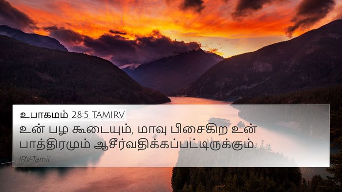 உபாகமம் 28:5 TAMIRV 4K Wallpaper - உன் பழ கூடையும், - 4K Wallpaper Bible Verse