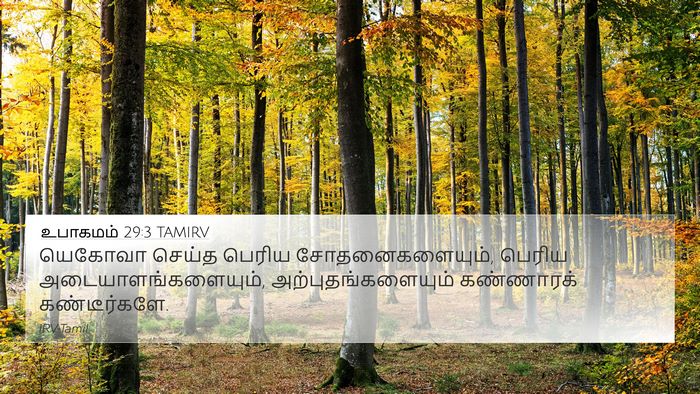 உபாகமம் 29:3 TAMIRV Bible Verse Image