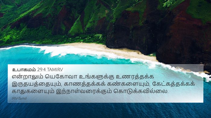 உபாகமம் 29:4 TAMIRV Bible Verse Image