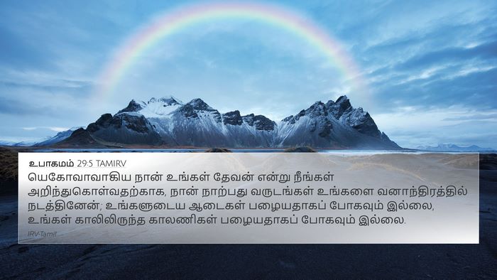 உபாகமம் 29:5 TAMIRV Bible Verse Image