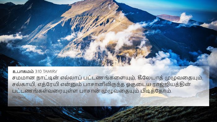 உபாகமம் 3:10 TAMIRV 4K Wallpaper - சமமான நாட்டின் - 4K Wallpaper Bible Verse