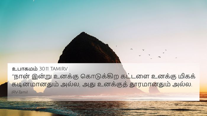 உபாகமம் 30:11 TAMIRV 4K Wallpaper - “நான் இன்று - 4K Wallpaper Bible Verse