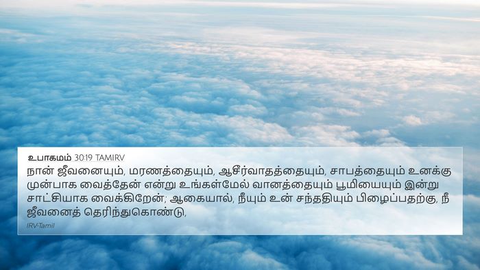 உபாகமம் 30:19 TAMIRV Bible Verse Image