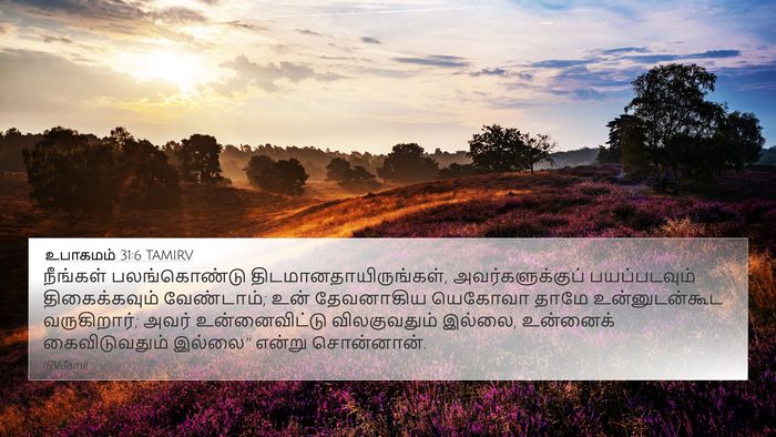 உபாகமம் 31:6 TAMIRV Bible Verse Image