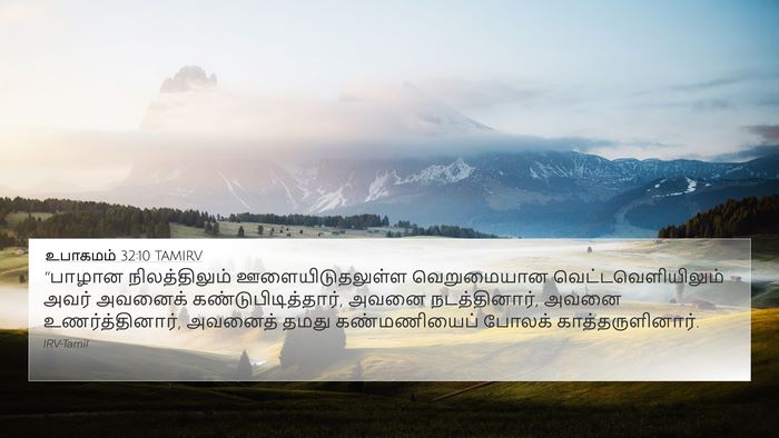 உபாகமம் 32:10 TAMIRV Bible Verse Image
