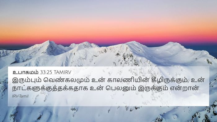 உபாகமம் 33:25 TAMIRV Bible Verse Image