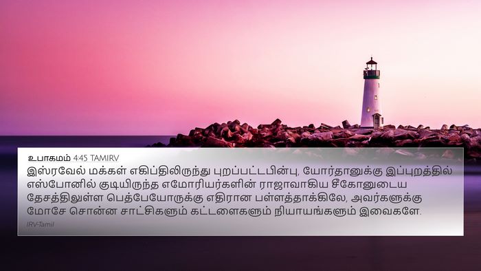 உபாகமம் 4:45 TAMIRV Bible Verse Image
