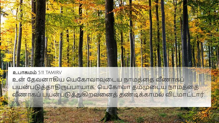 உபாகமம் 5:11 TAMIRV Bible Verse Image