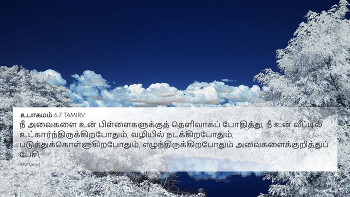 உபாகமம் 6:7 TAMIRV Bible Verse Image