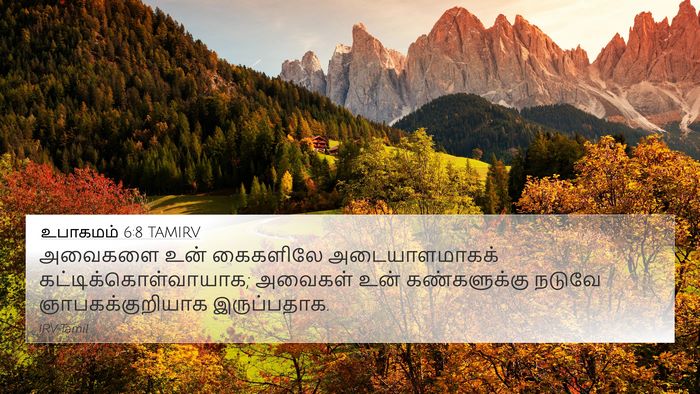 உபாகமம் 6:8 TAMIRV Bible Verse Image