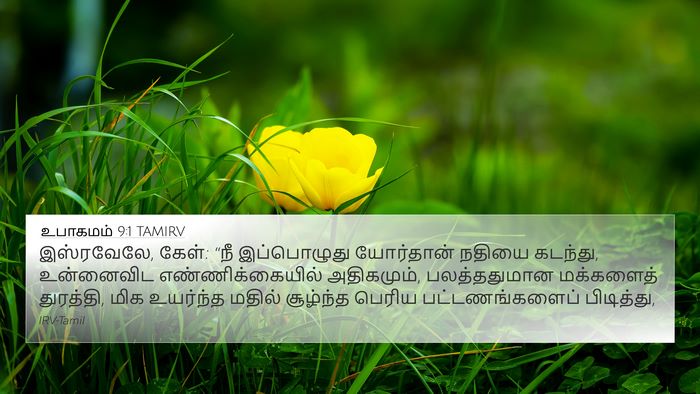 உபாகமம் 9:1 TAMIRV Bible Verse Image