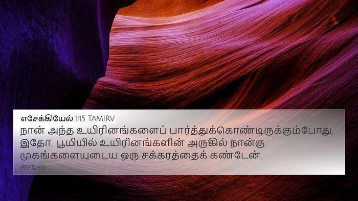 எசேக்கியேல் 1:15 TAMIRV Bible Verse Image