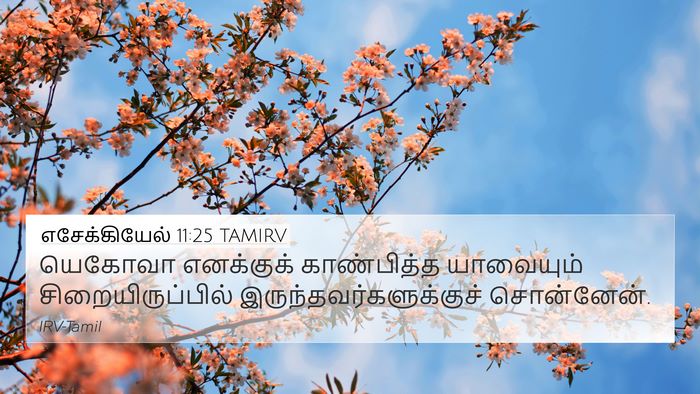 எசேக்கியேல் 11:25 TAMIRV Bible Verse Image