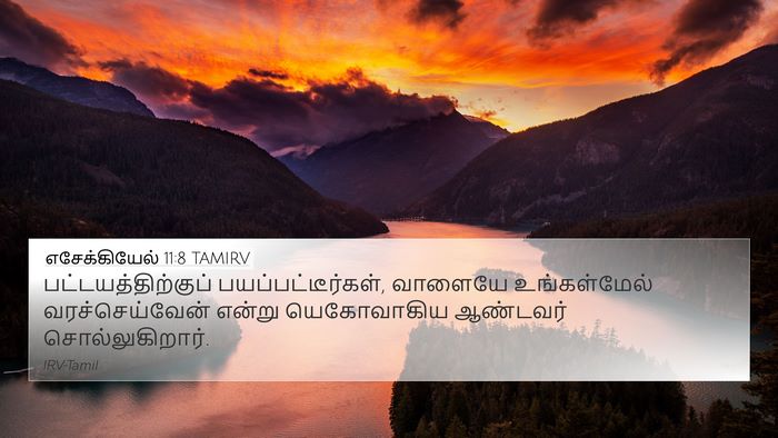 எசேக்கியேல் 11:8 TAMIRV Bible Verse Image