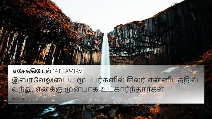 எசேக்கியேல் 14:1 TAMIRV Bible Verse Image