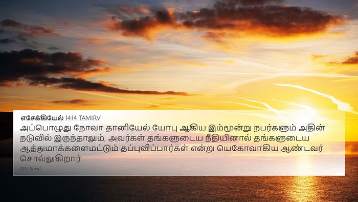 எசேக்கியேல் 14:14 TAMIRV Bible Verse Image