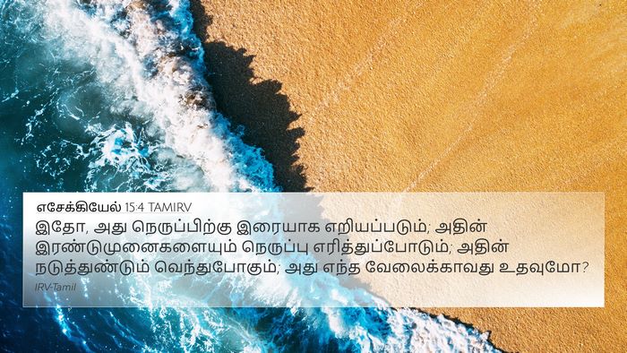 எசேக்கியேல் 15:4 TAMIRV Bible Verse Image
