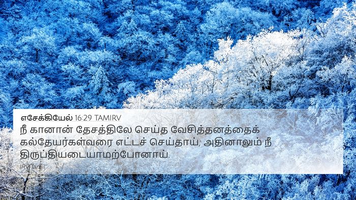 எசேக்கியேல் 16:29 TAMIRV Bible Verse Image