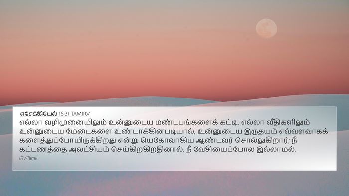 எசேக்கியேல் 16:31 TAMIRV Bible Verse Image
