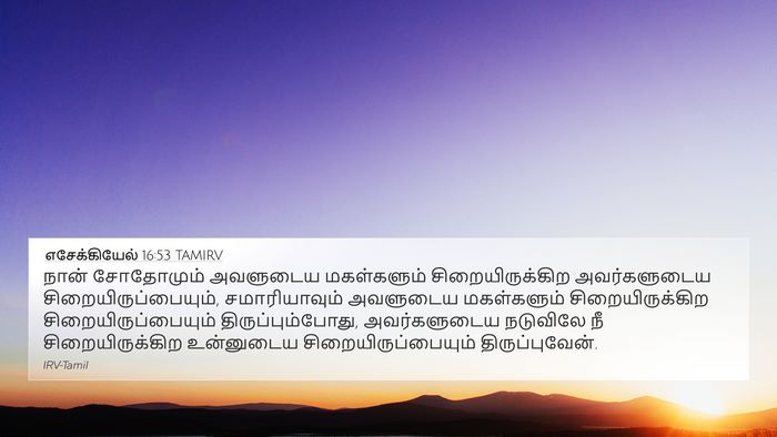 எசேக்கியேல் 16:53 TAMIRV Bible Verse Image
