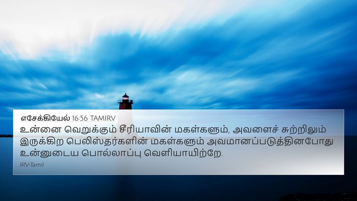 எசேக்கியேல் 16:56 TAMIRV Bible Verse Image