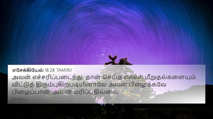 எசேக்கியேல் 18:28 TAMIRV Bible Verse Image