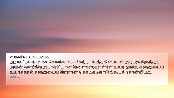 எசேக்கியேல் 19:11 TAMIRV Bible Verse Image