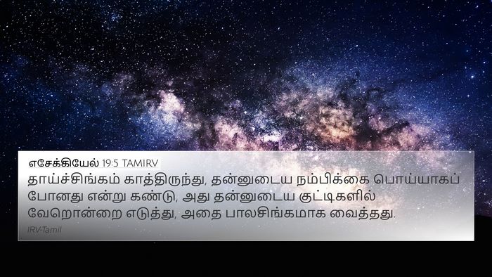 எசேக்கியேல் 19:5 TAMIRV Bible Verse Image