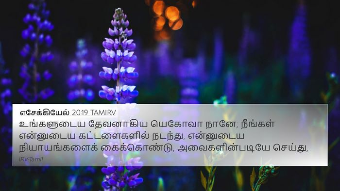 எசேக்கியேல் 20:19 TAMIRV Bible Verse Image