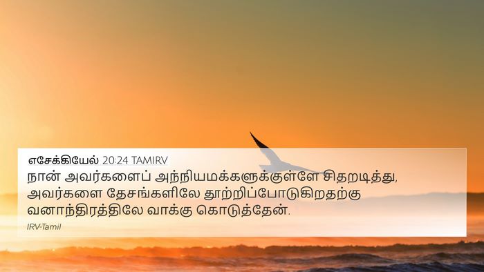 எசேக்கியேல் 20:24 TAMIRV Bible Verse Image