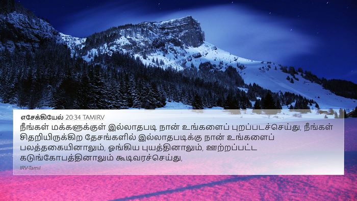 எசேக்கியேல் 20:34 TAMIRV Bible Verse Image