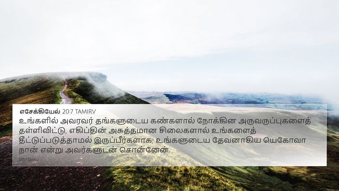 எசேக்கியேல் 20:7 TAMIRV Bible Verse Image