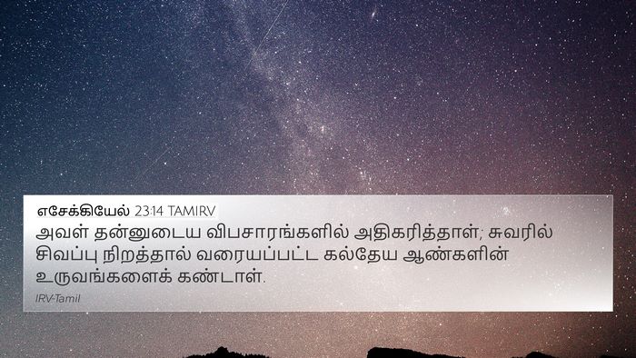 எசேக்கியேல் 23:14 TAMIRV Bible Verse Image