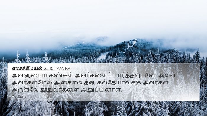 எசேக்கியேல் 23:16 TAMIRV Bible Verse Image