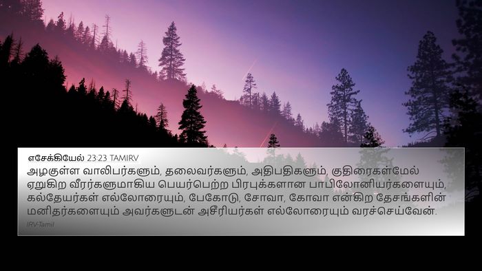எசேக்கியேல் 23:23 TAMIRV Bible Verse Image