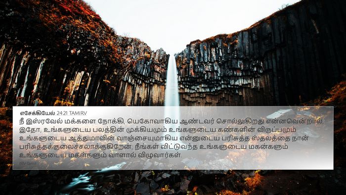 எசேக்கியேல் 24:21 TAMIRV Bible Verse Image