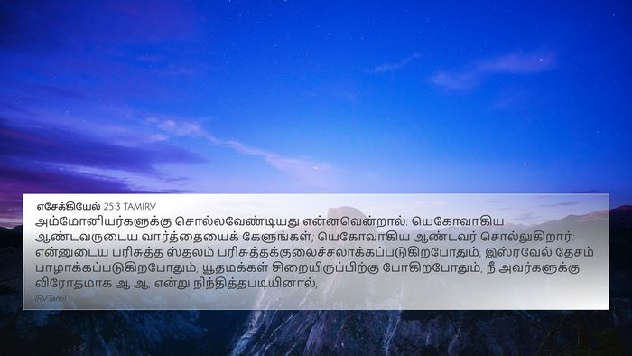 எசேக்கியேல் 25:3 TAMIRV Bible Verse Image