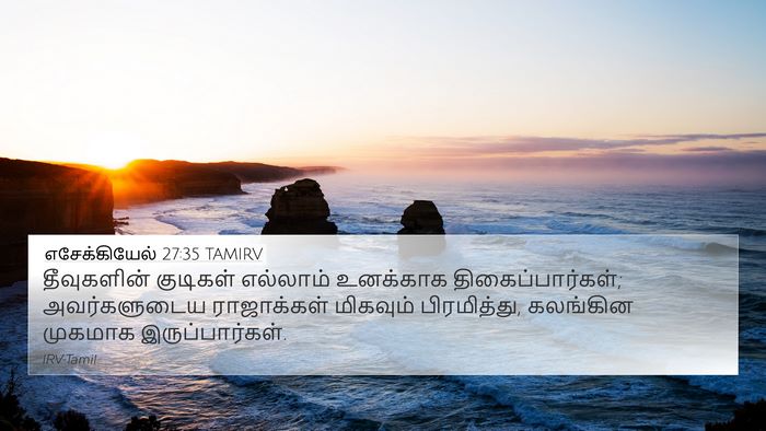 எசேக்கியேல் 27:35 TAMIRV Bible Verse Image