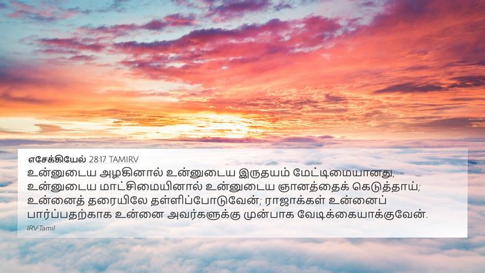 எசேக்கியேல் 28:17 TAMIRV Bible Verse Image